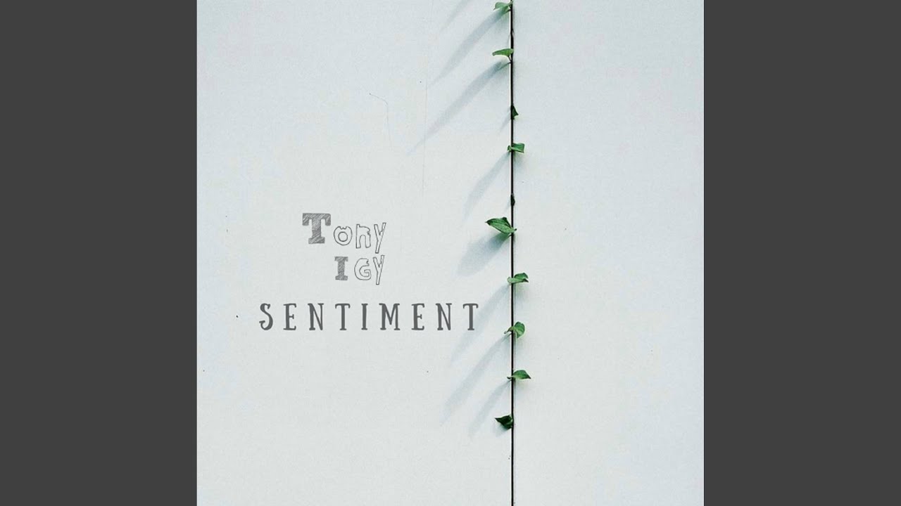 Sentiment