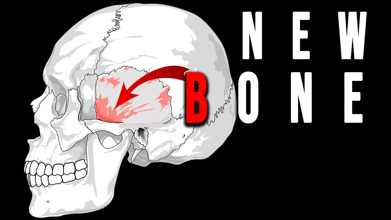 How Your Bone Implant Is Really Tested