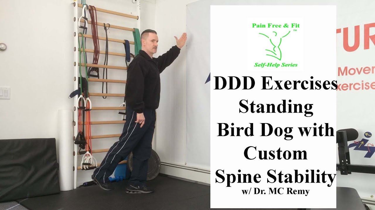 Degenerative Disc Disease Exercises  Standing Bird Dog