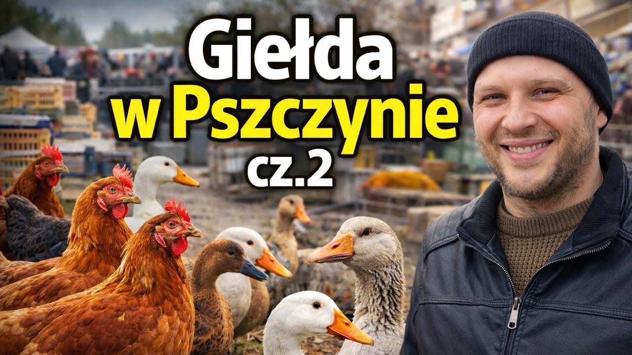Ptasia giełda w Pszczynie cz.2