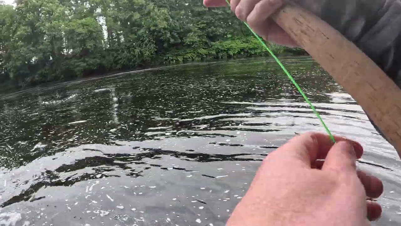 Off and running season 25 River Mourne