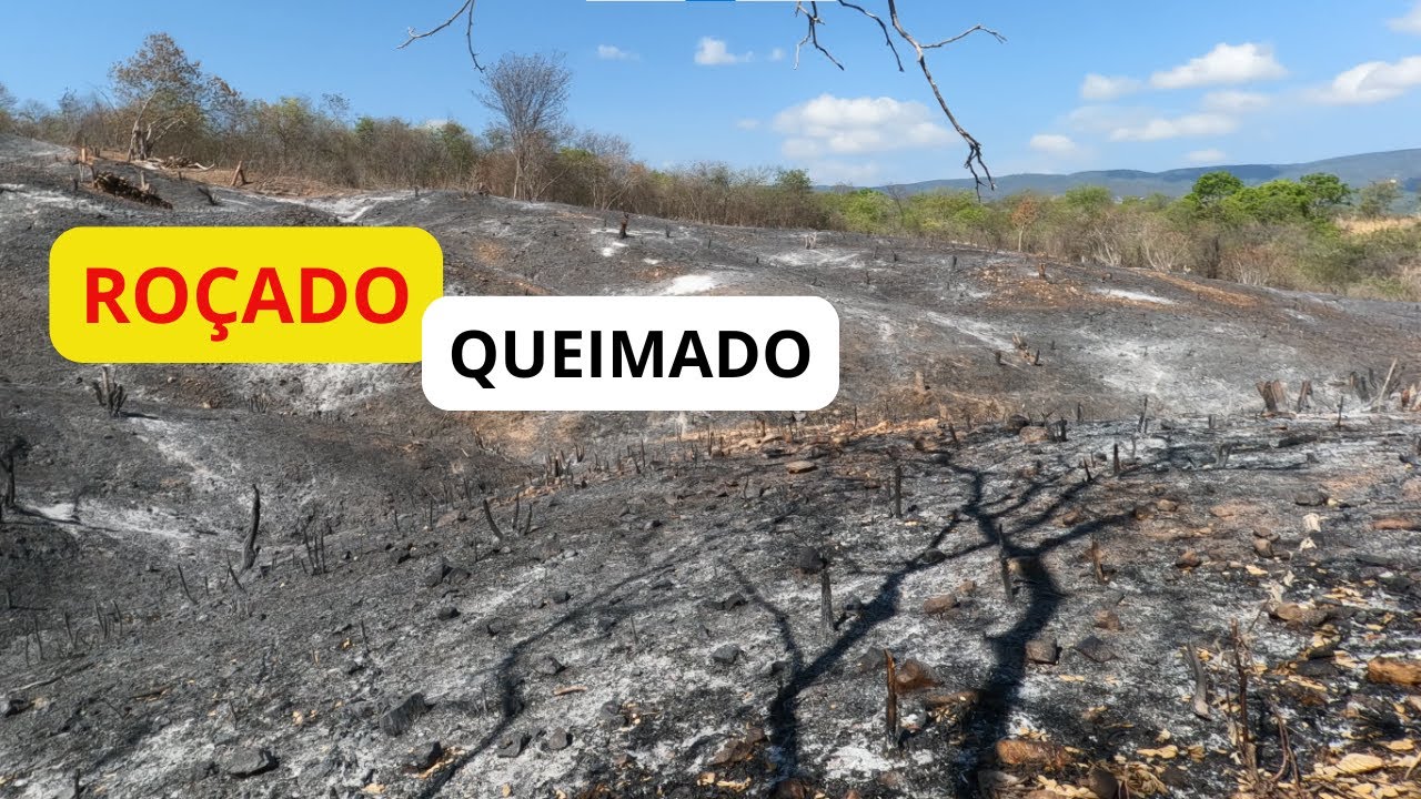 ROÇADO QUEIMADO, PRONTO, ESPERANDO CHUVA