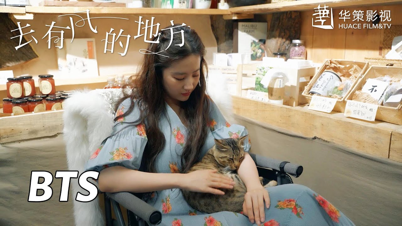【去有风的地方】花絮：刘亦菲剧组日常，撸猫逗狗与马共舞~ | Meet Yourself - Behind the Scenes