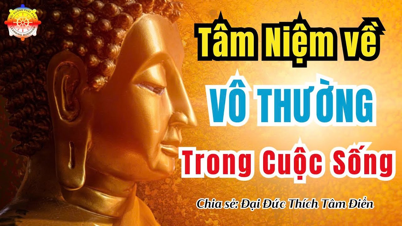 Mindfulness of impermanence in daily life | Thích Tâm Điển