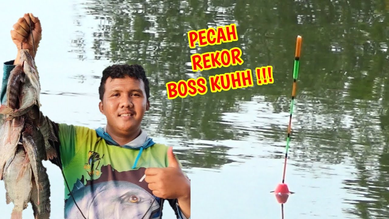 PECAH REKOR BOSS KUHH !!! PANEN IKAN NILA LOBANG |#mancinglobangikannila  |