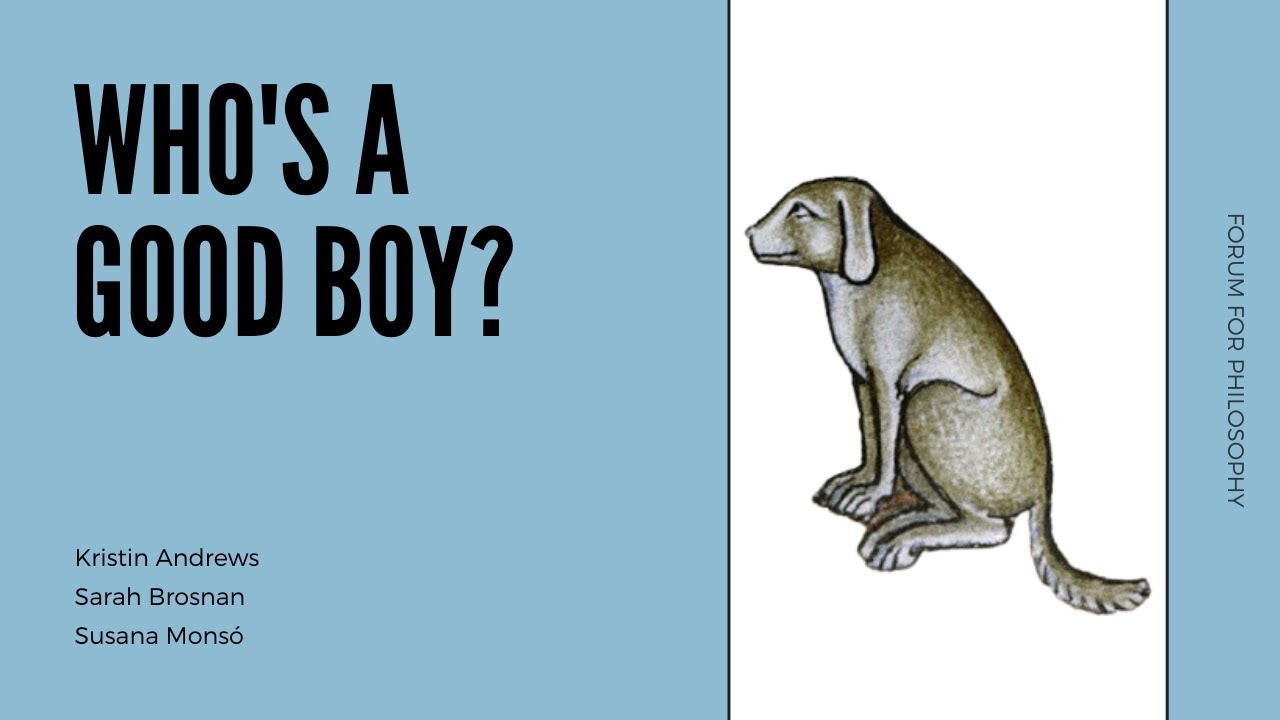 Who's a Good Boy? | With Kristin Andrews, Sarah Brosnan, and Susana Monsó