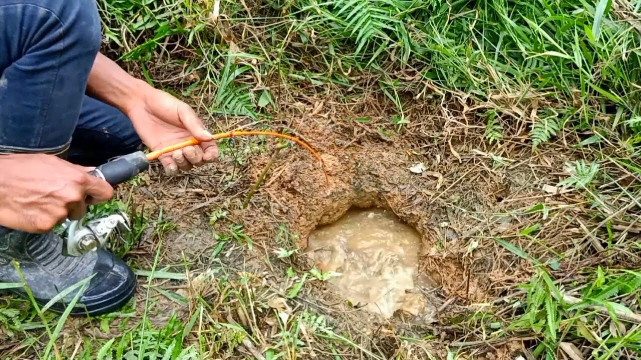 LUBANG IKAN LEMBAT DI KEBUN KELAPA SAWIT