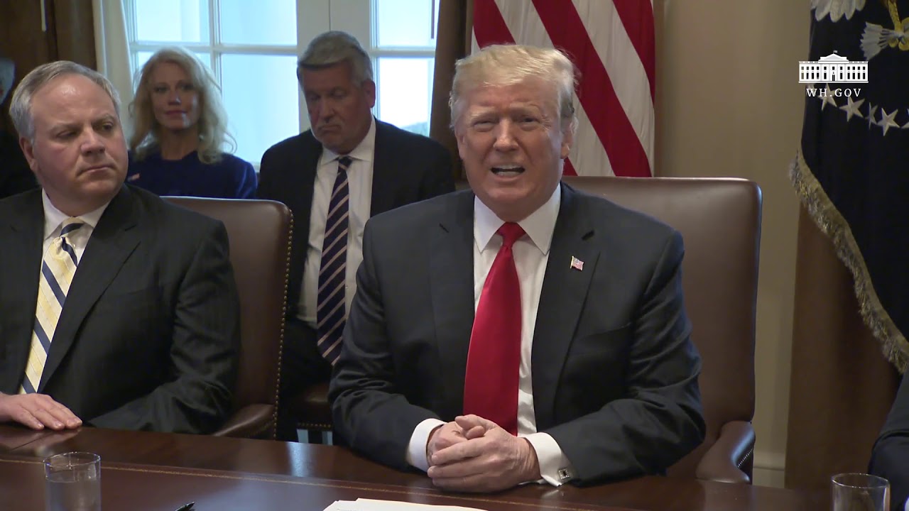 President Trump Leads a Cabinet Meeting