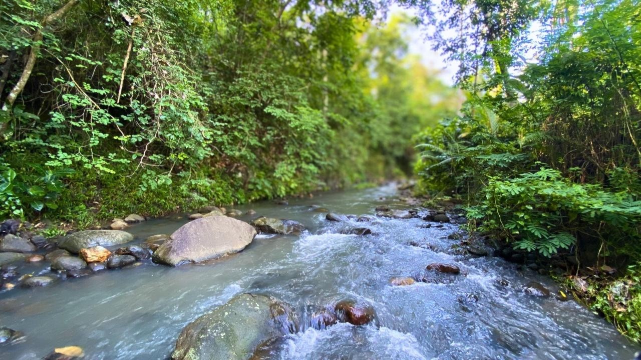 🌿 Deep Forest River With Soft Piano | Immersive Nature Sleep Ambience 10 Hours