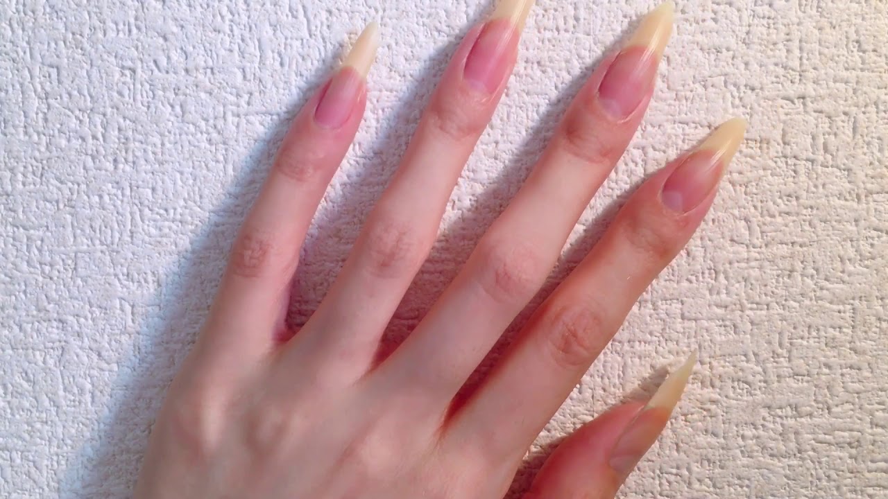 Tapping and Scratching 🎧 Natural long nails ASMR👂