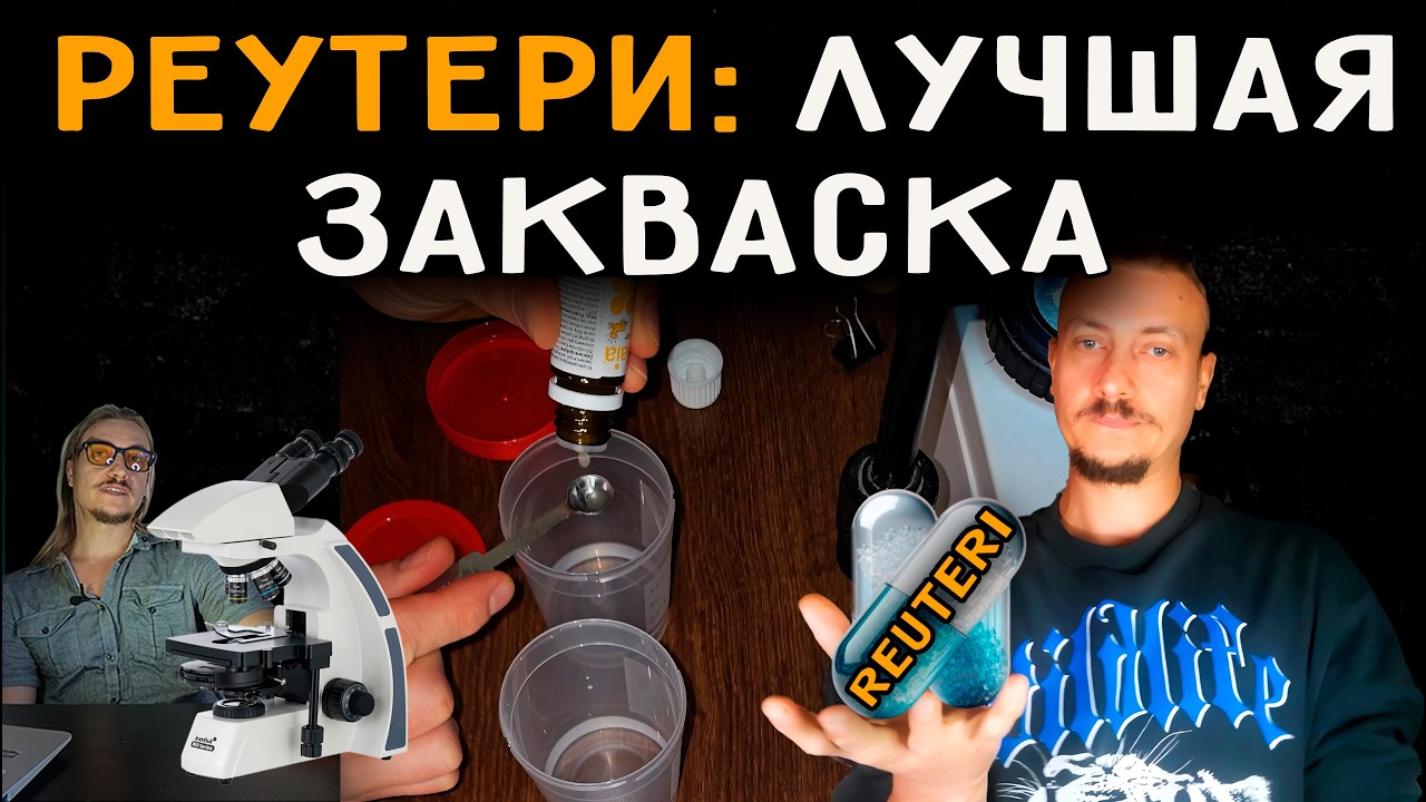 Реутери: лучшая закваска (Lactobacillus Reuteri)