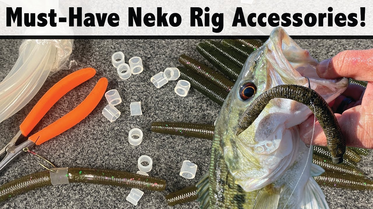 Must Have Neko Rig Accessories That Will Catch You More Fish!