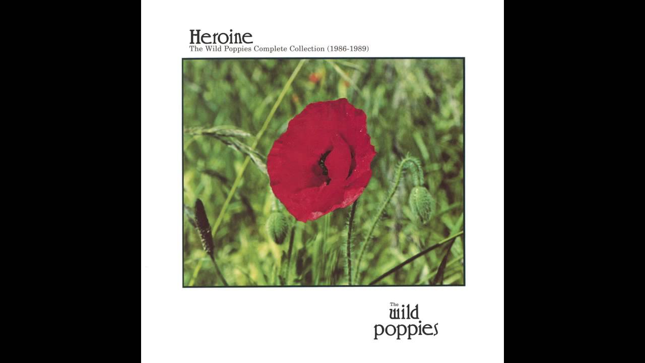 The Wild Poppies - Colourdrift