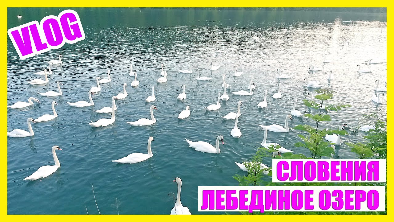 Словения || Збильско Озеро || Каникулы в Словении