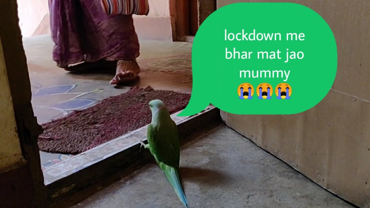 Ruko mummy mat jao lockdown hai 😭😭