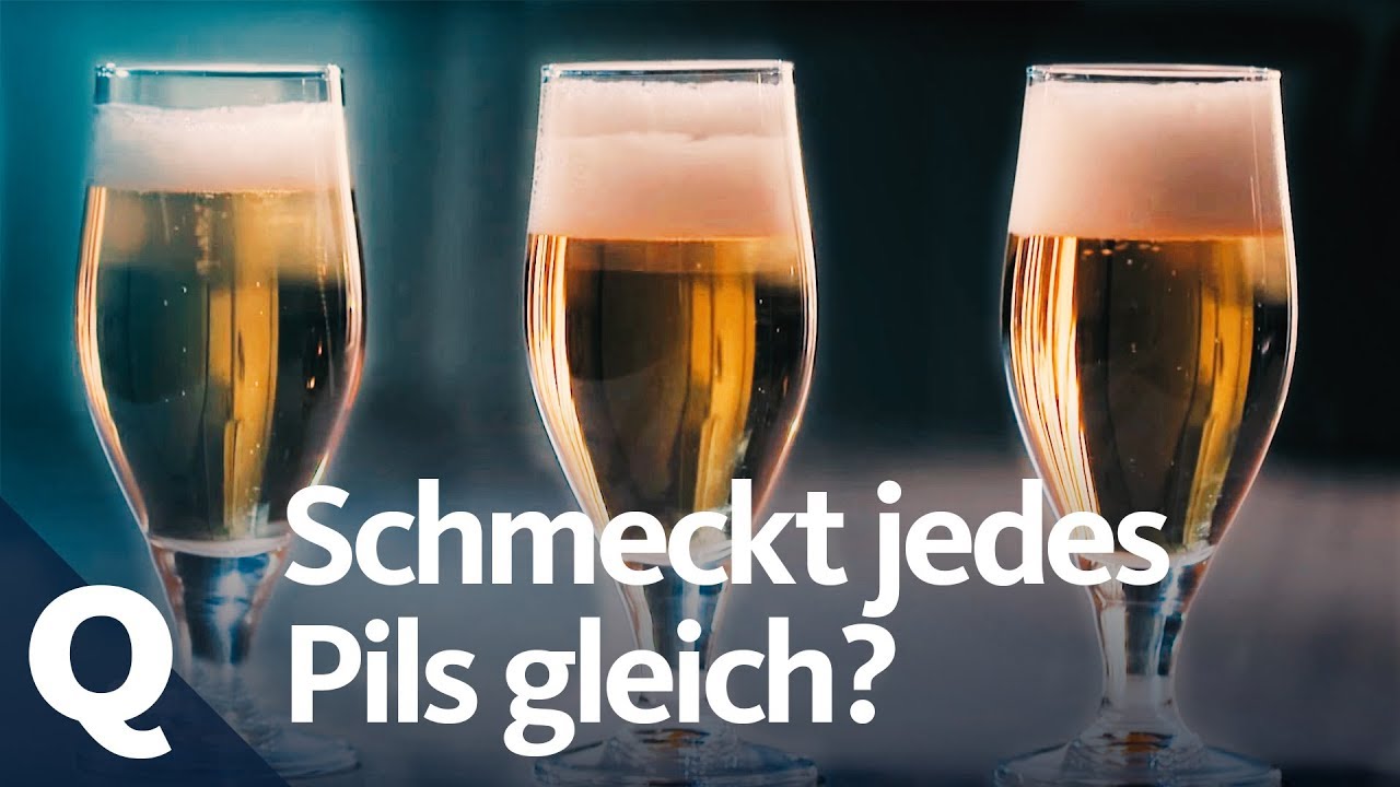 Bier-Experiment: Schmeckt jedes Pils gleich? | Quarks