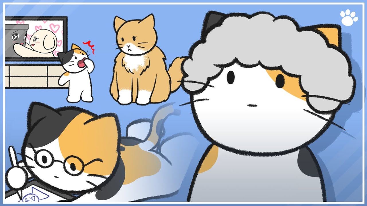 Сколько лет вашей кошке по человеческим меркам? | Советы BEMYPET