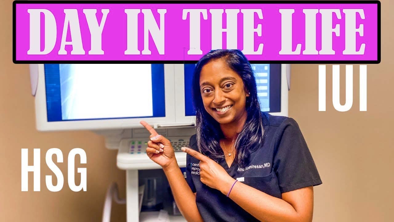 DAY IN THE LIFE OF AN INFERTILITY DOCTOR: IUI and HSG