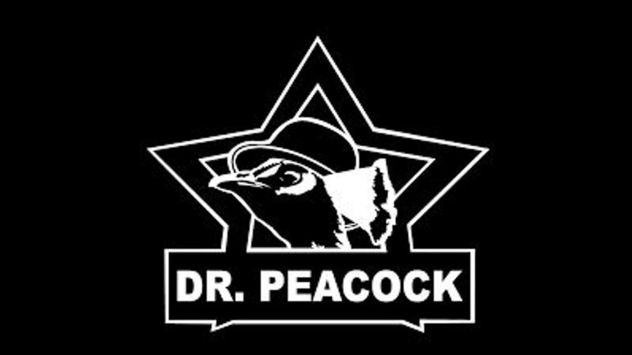 Le Bask & Dr. Peacock @ Insane Festival 18-04-2015 France