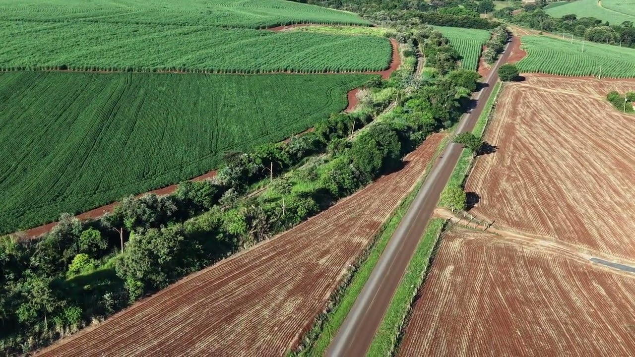 5 de março de 2026
