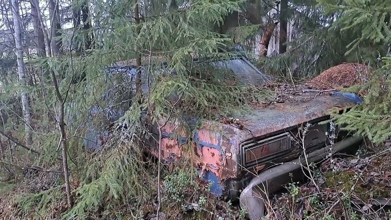 Isoa Datsunia 