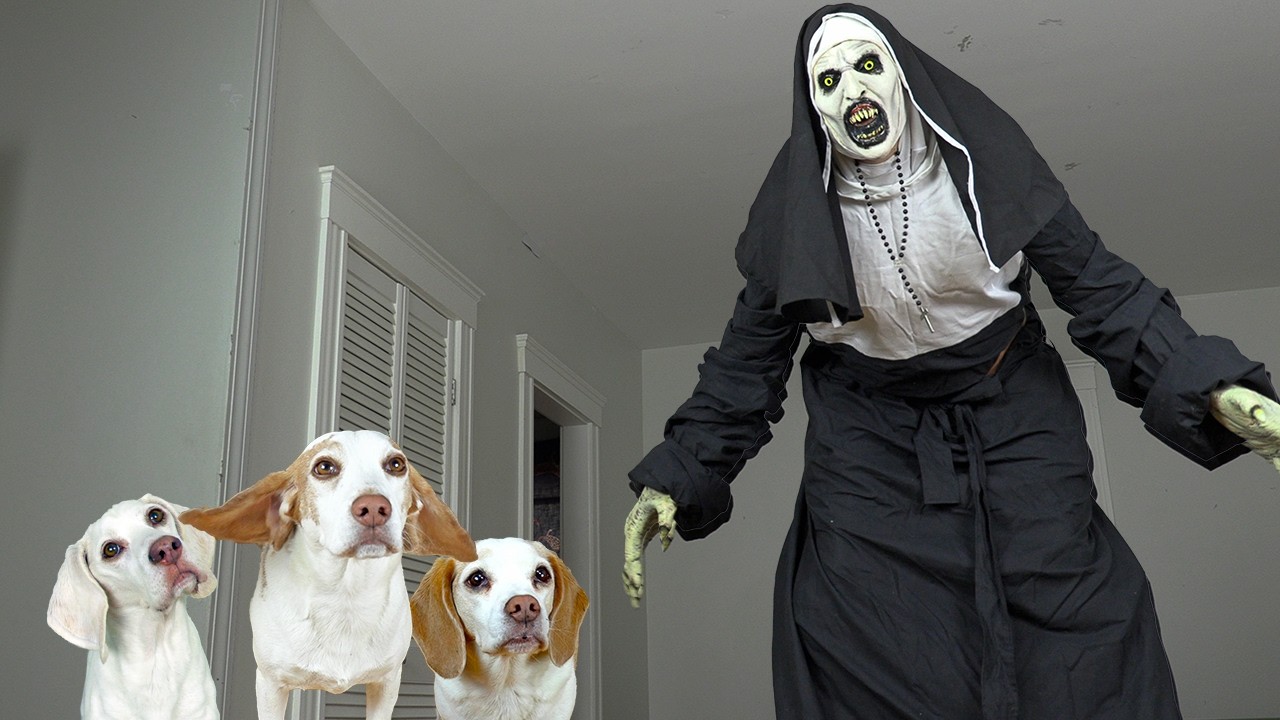 Dogs Not Afraid of GIANT Ghost Nun