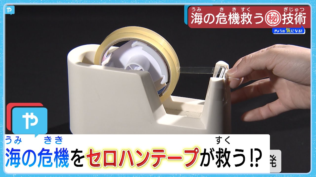 世界の海の危機を ニッポンのセロハンテープが救う？