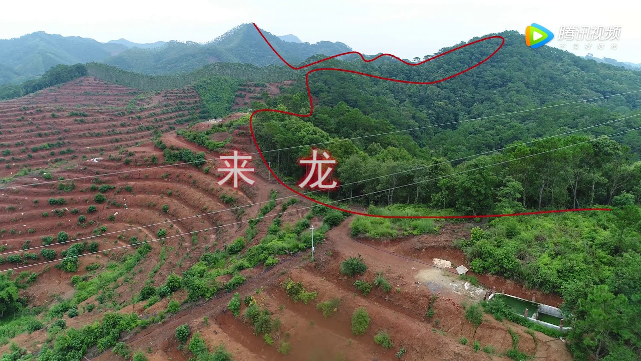 A89尋龍隊試看 逆水一尺可救贫！逆水速发宝地 风水大师大伟经典点评 狗仔望钵