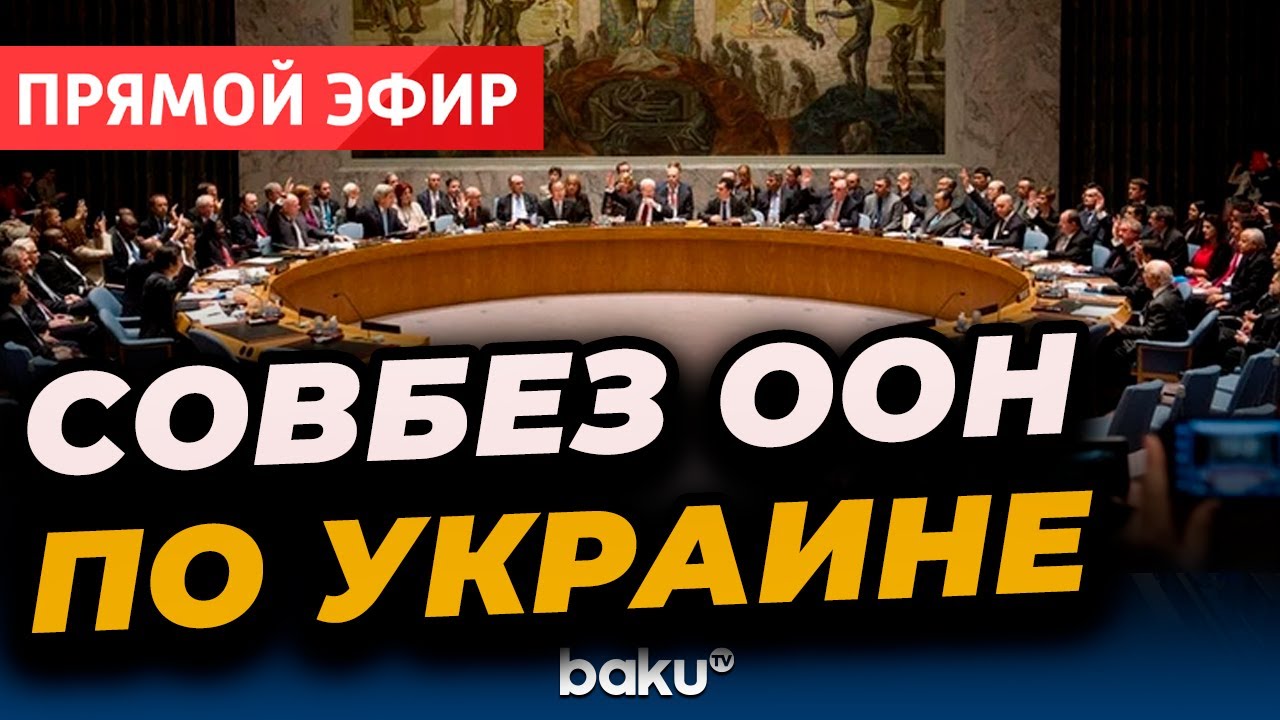 LIVE: Заседание Совета Безопасности ООН по Украине (20.11.2025)