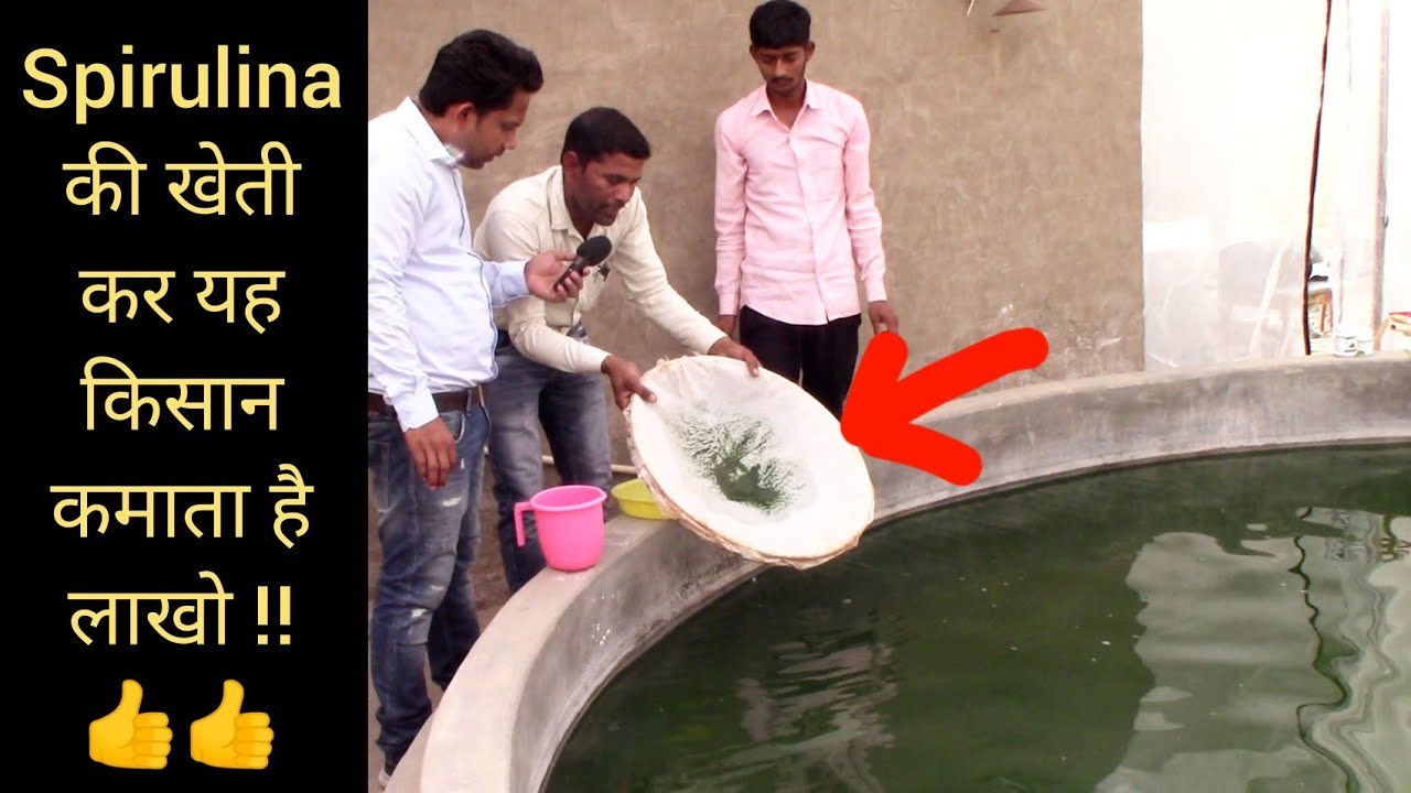 Spirulina की खेती से यह किसान कमाता है लाखो || Spirulina Farming in India || Hello Kisaan