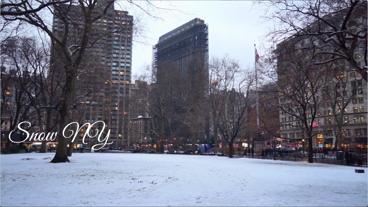 Snow Mr. Pink Flatiron Building Madison Square Park NY 2026