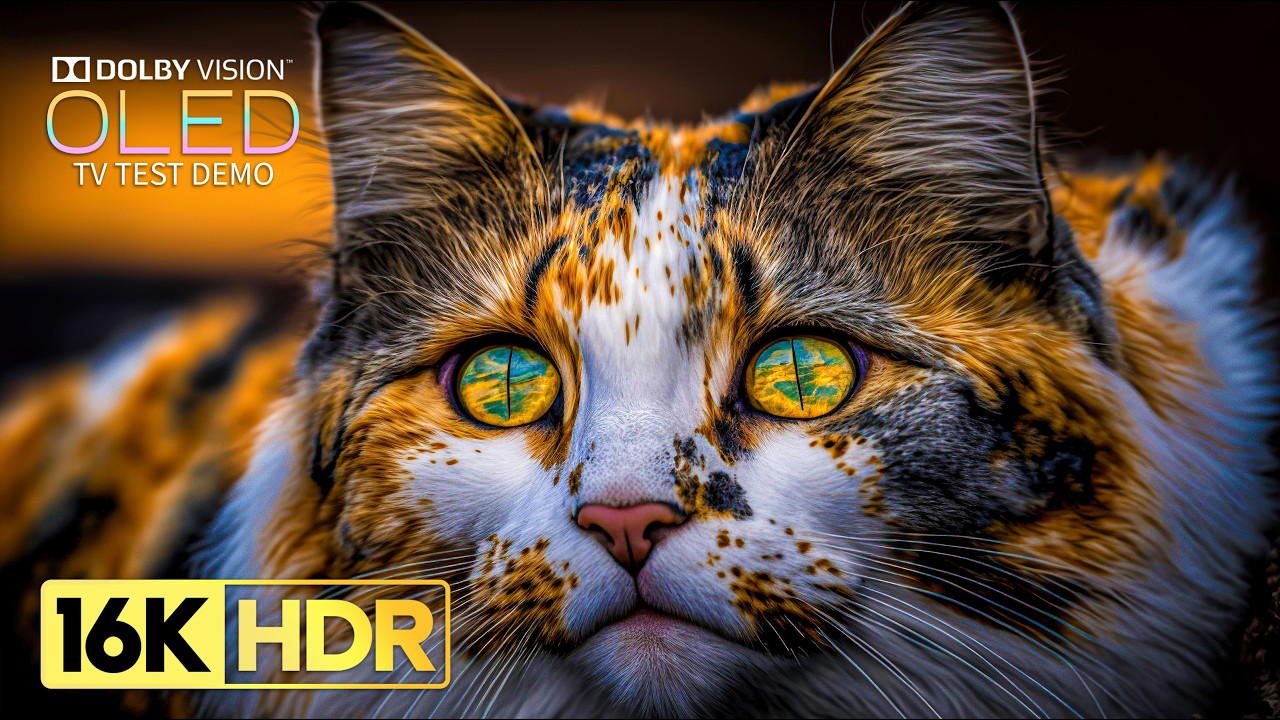 Incredible Dolby Vision 16K HDR 120FPS (8K/4K TV)