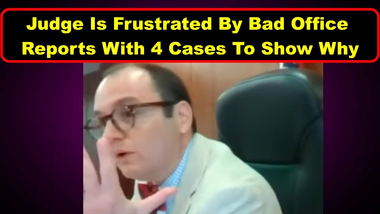 4 Cases Of Possible Bad Officer Reports  Judge David Fleischer - Vikky's Court Watch