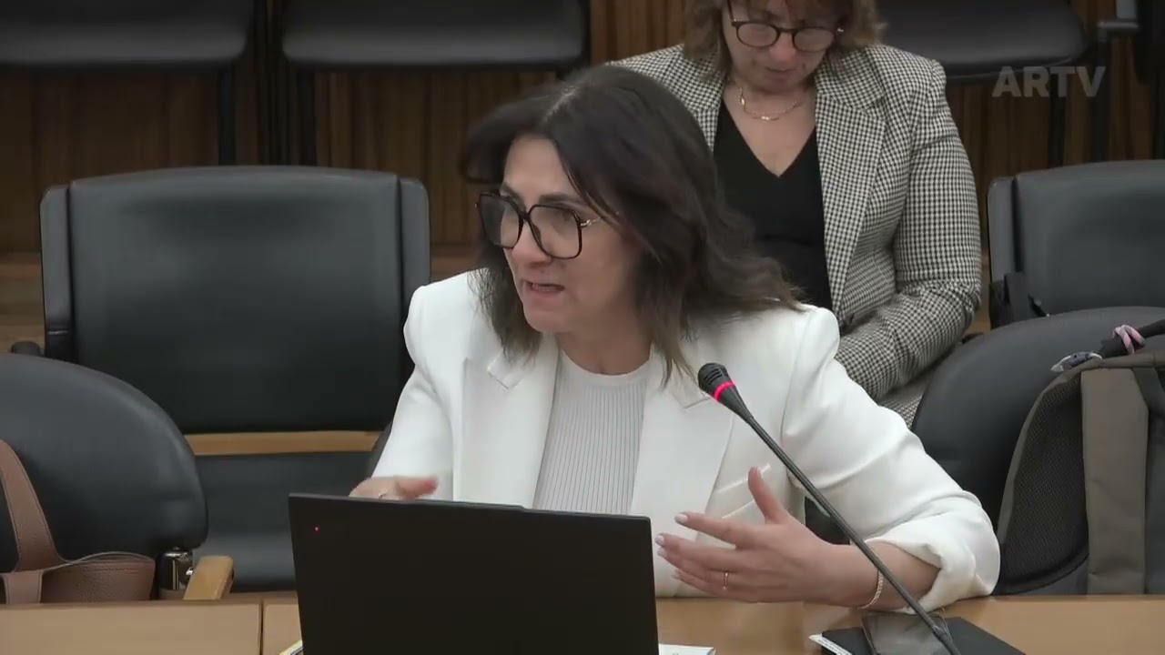 19-02-2026 | Audição de Peticionários - Pelo acesso atempado a medicamentos inovadores | Irene Costa