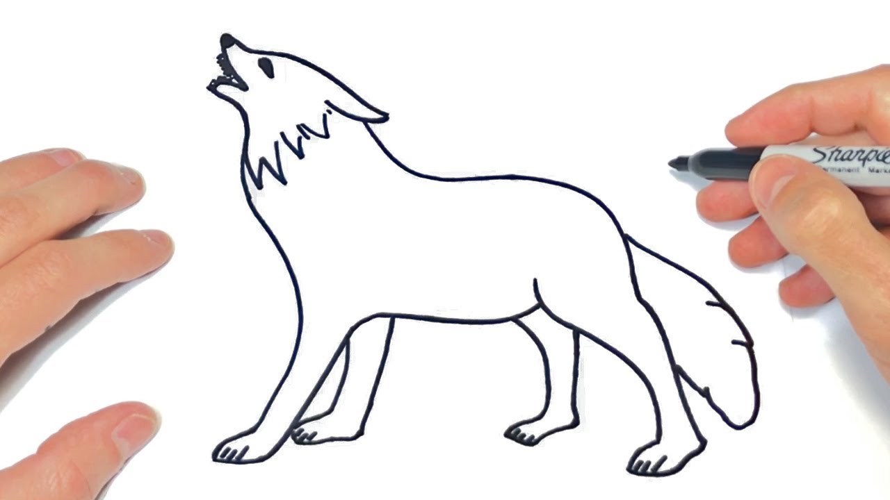 Cómo dibujar un Lobo Paso a Paso | Dibujo de Lobo Salvaje