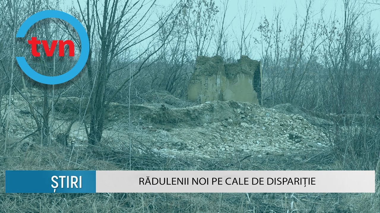 Rădulenii Noi pe cale de dispariție