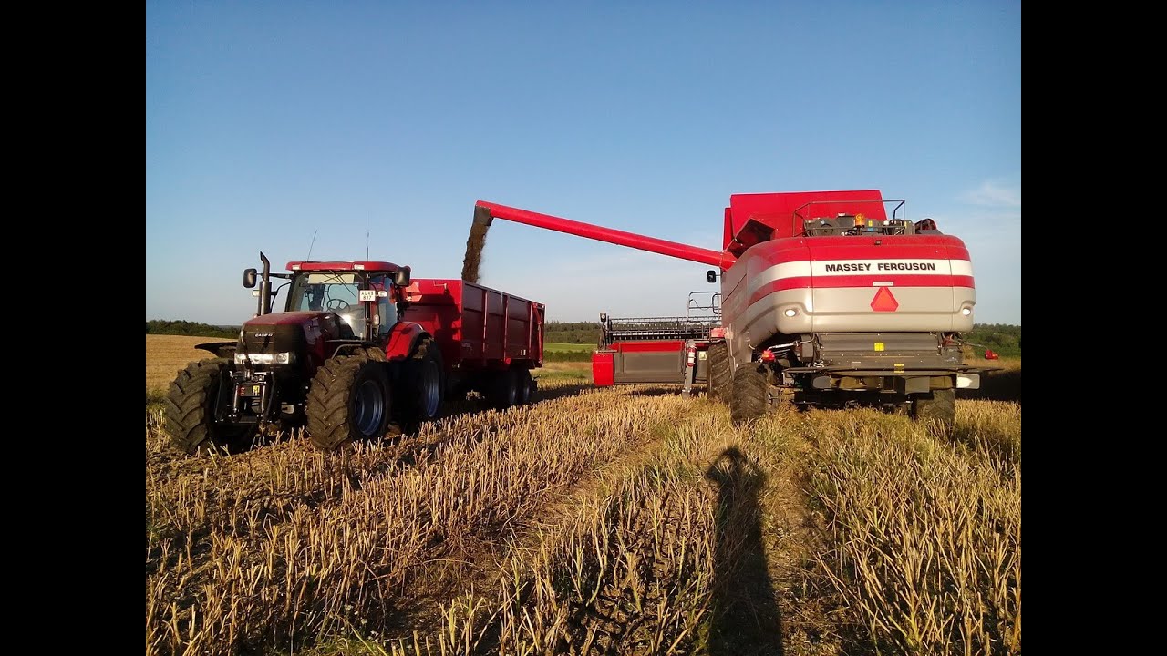 Test kombajnu Massey Ferguson 9280 AL Delta Hybrid