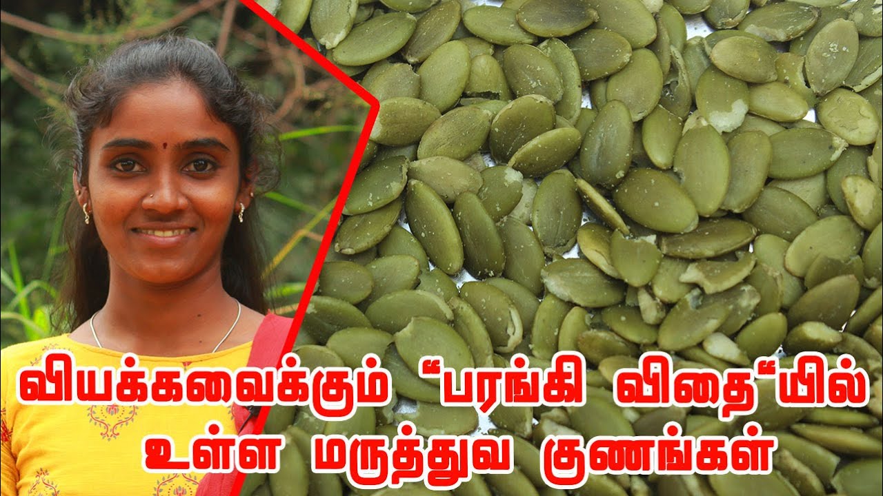 பரங்கி விதையில் உள்ள நன்மைகள் | பரங்கி விதைகளின் மருத்துவ மகிமைகள்! | Pumpkin seeds