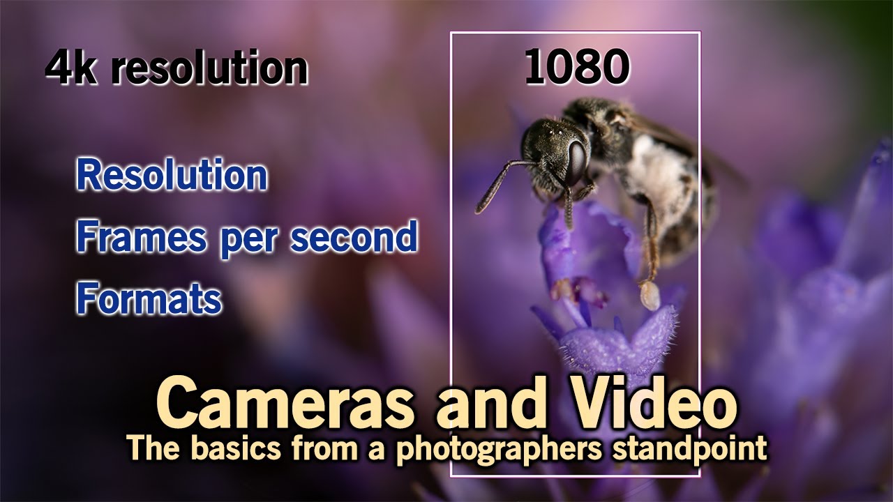 Video Basics for the Photographer