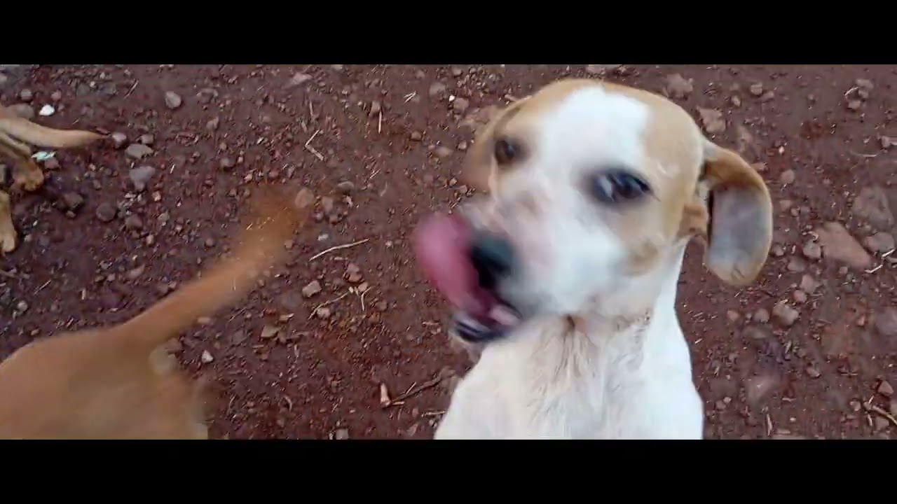 finalizando mais um dia de trabalho veio umas pancadas de Juva 
