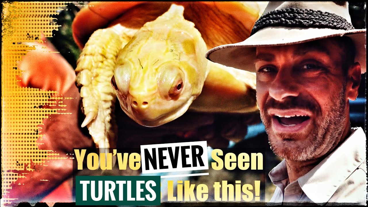 Touring the Turtle Source's NEW HOME!