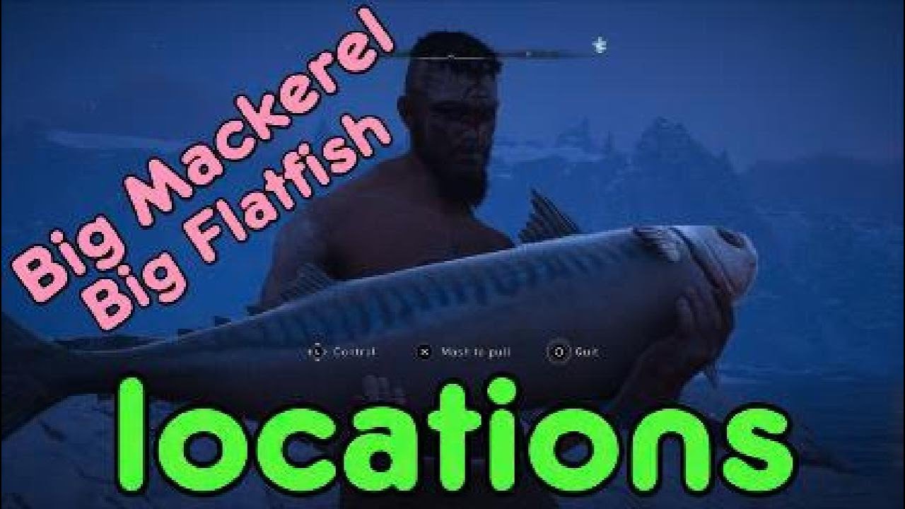 Big flatfish Big mackerel locations in Assassins Creed Valhalla