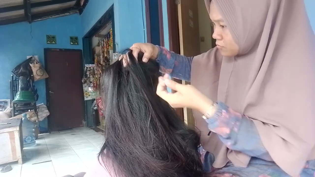 cari kutu rambut panjang,nit picking