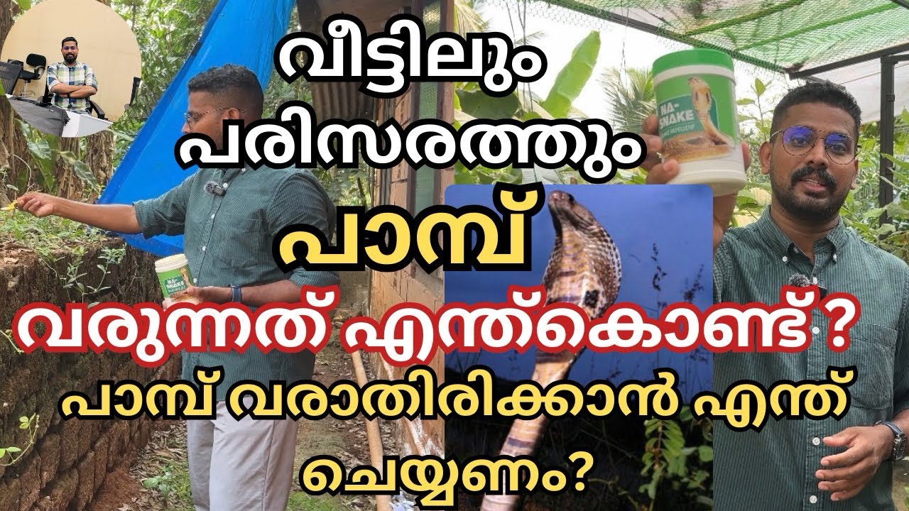 ഈ കാരണത്താൽ ആണ് വീട്ടിലും പരിസരത്തും പാമ്പുകൾ വരുന്നത് | ഇത് ഇട്ടുകൊടുത്താൽ പാമ്പുകൾ വരുന്നത് തടയാം