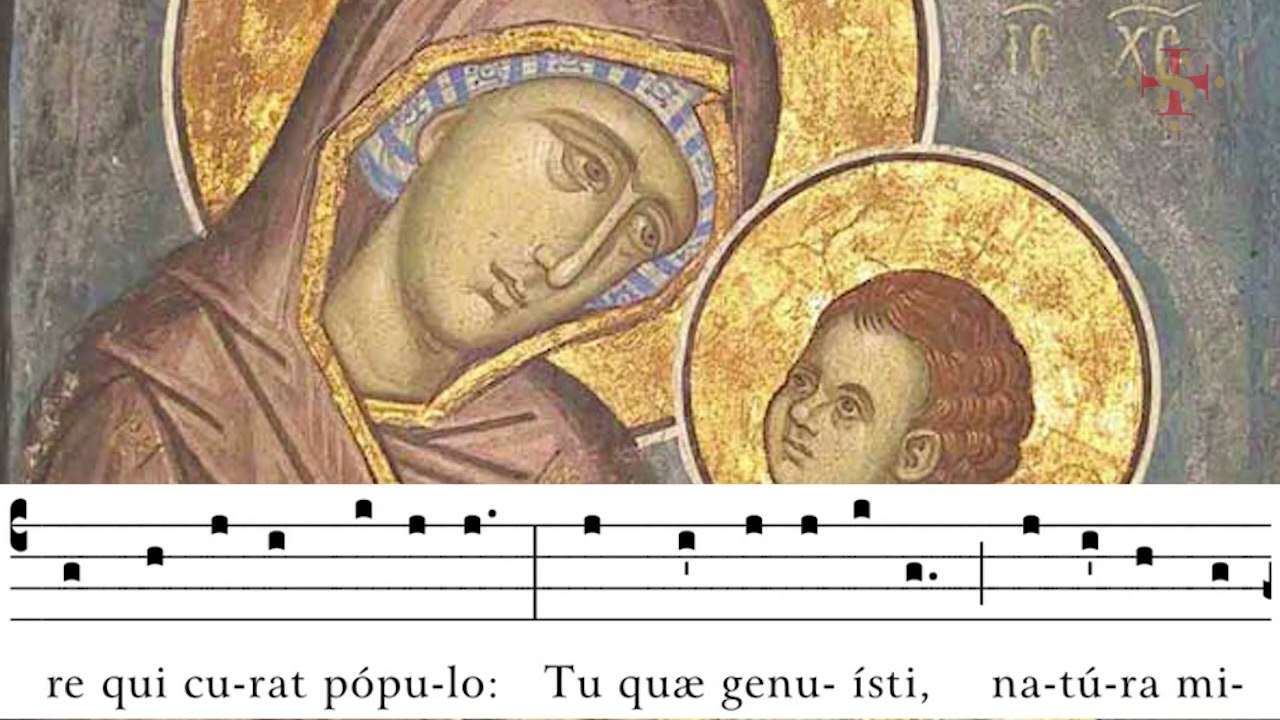 Alma Redemptoris Mater | Gregorian Chant | Schola Iacartensis