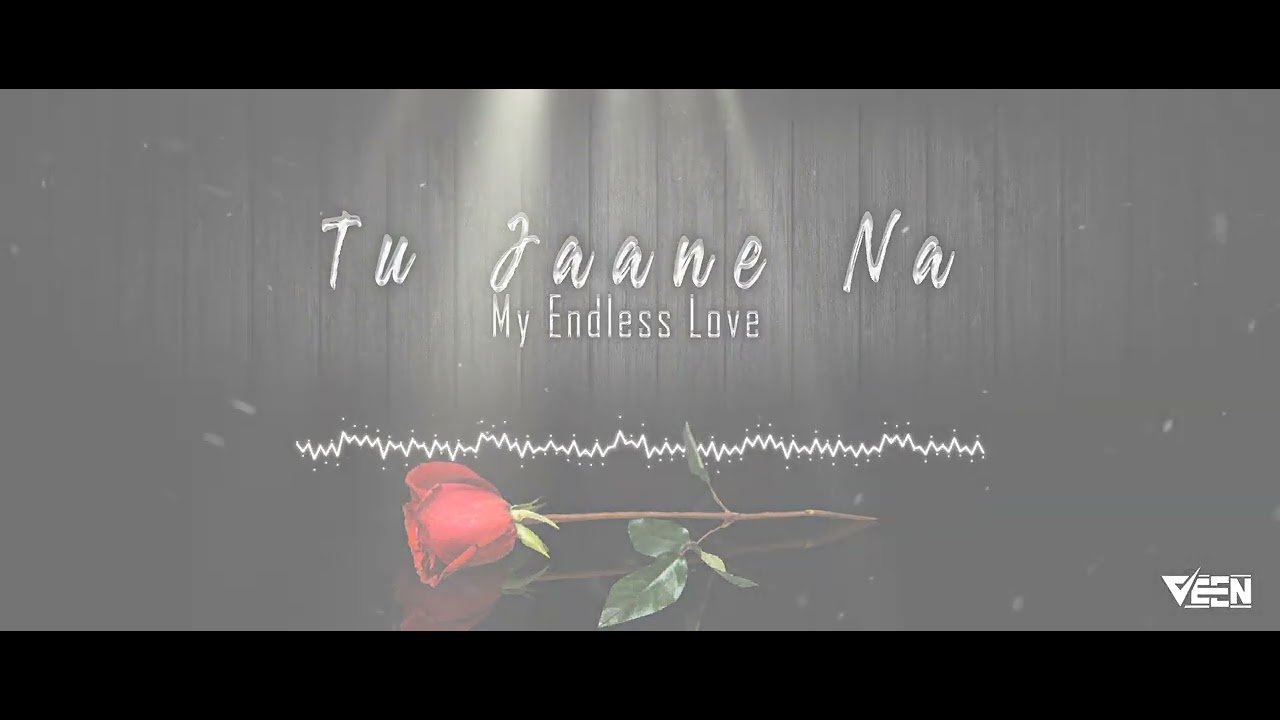 Tu Jaane Na X Special X Remix X Veen