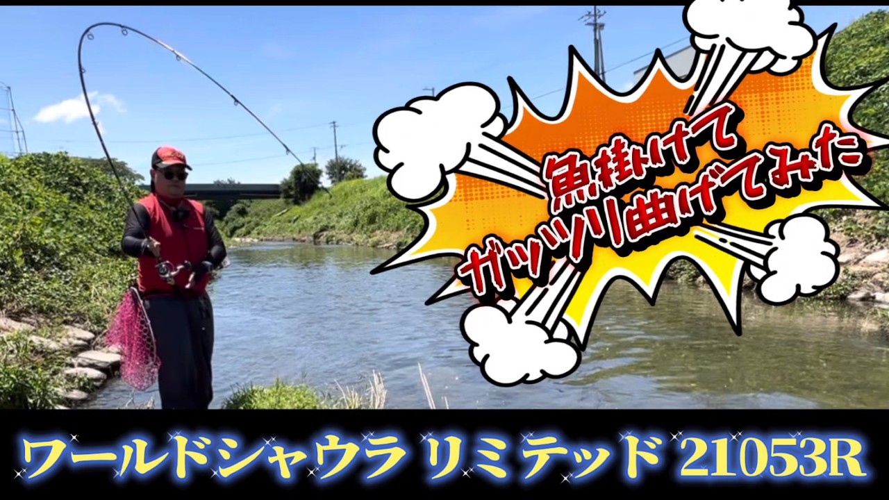 コレがリミテッド21053Rの曲がりとパワー‼︎しっかり曲げたファイトシーンが見たくて…久しぶりにルアーでカープフィッシング‼︎
