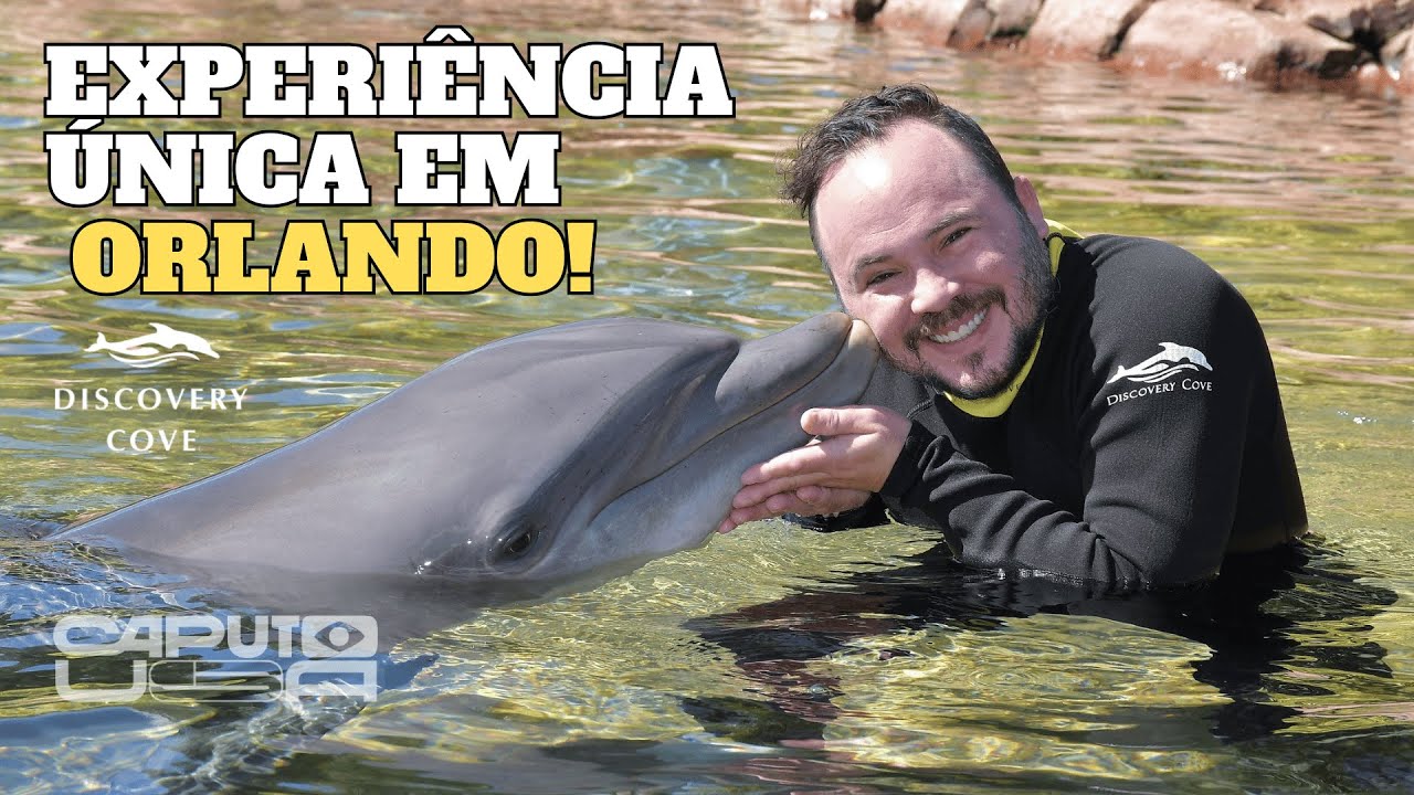 Pronto para explorar um paraíso em Orlando? Minha aventura completa no Discovery Cove! #florida