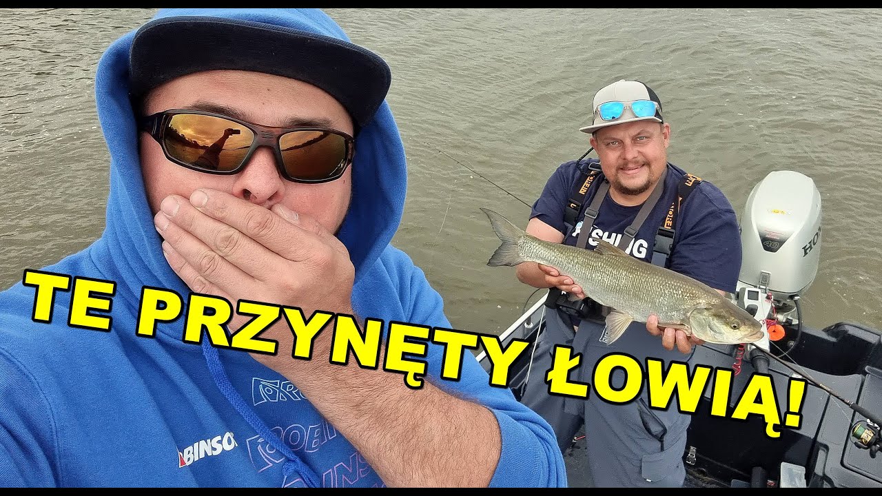 DWA BOLENIE i TRZY SUMY - GUGAŁA ZNOWU W SZOKU