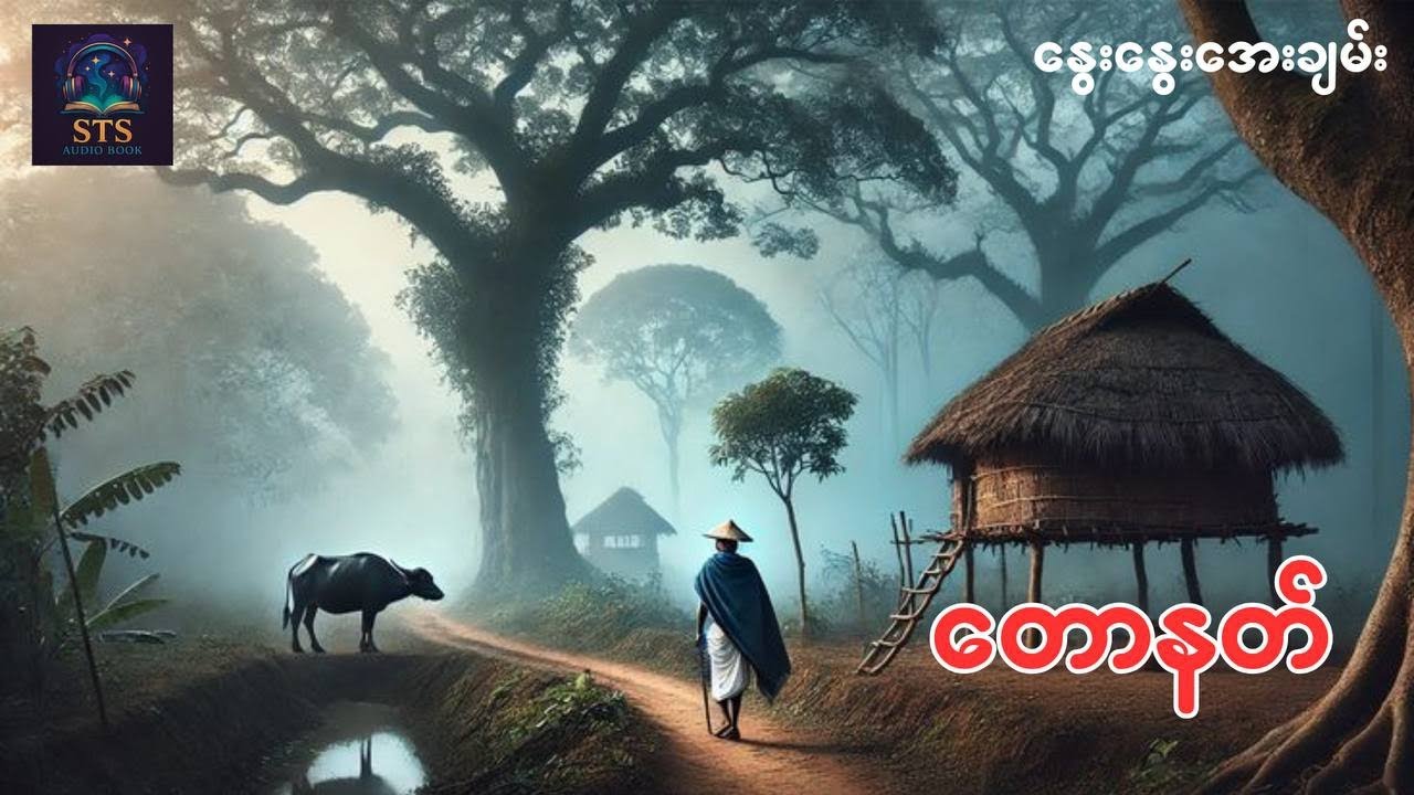 တောနက်ထဲက ခြောက်လန့်မှုကိုကြုံတွေ့ခဲ့ရသူ #နွေးနွေးအေးချမ်း